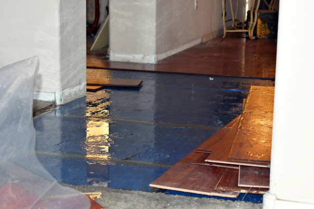 Professional Water Damage Restoration technician working in Easton, WA
